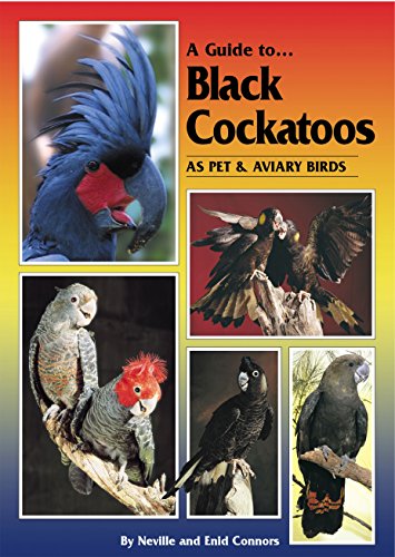 Imagen de archivo de A Guide to Black Cockatoos as Pet and Aviary Birds a la venta por Monster Bookshop