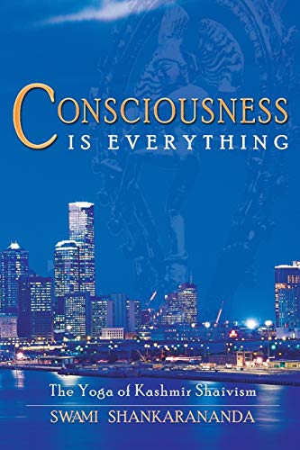 Stock image for Consciousness Is Everything: The Yoga of Kashmir Shaivism for sale by GF Books, Inc.