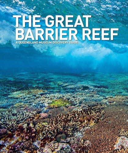 Stock image for THE GREAT BARRIER REEF : A Queensland Museum Discovery Guide for sale by Karen Wickliff - Books
