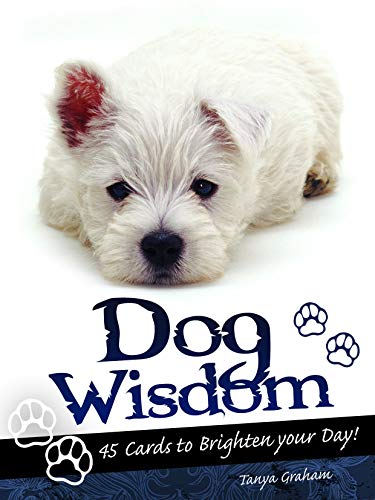 Stock image for Dog Wisdom Cards for sale by HPB-Diamond
