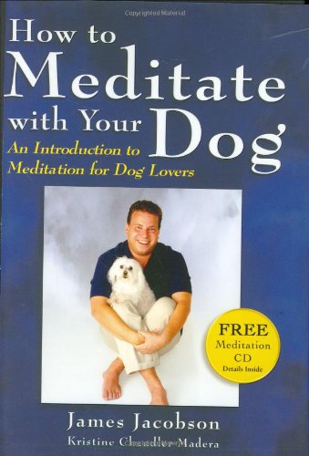 Beispielbild fr How to Meditate with Your Dog : An Introduction to Meditation for Dog Lovers zum Verkauf von Better World Books