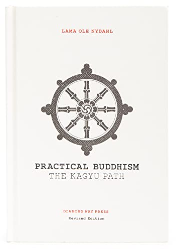 Stock image for Practical Buddhism: The Kagyu Path for sale by Book Deals