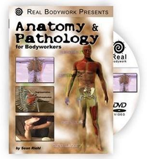 9780975343135: Anatomy and Pathology for Bodyworkers