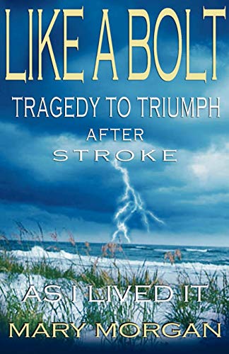 9780975405901: Like A Bolt: Tragedy to Triumph After Stroke