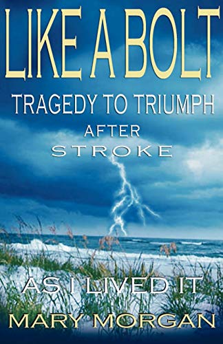 9780975405901: Like a Bolt: Tragedy to Triumph After Stroke
