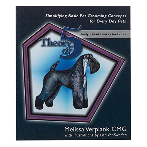 Stock image for Theory of Five Book by Melissa Verplank for sale by HPB-Red