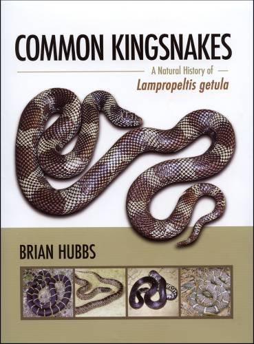 Common Kingsnakes, A Natural History of 'Lampropeltis getula' (9780975464113) by Brian Hubbs