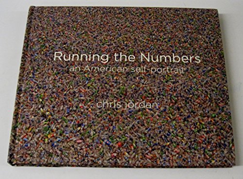 Beispielbild fr Running the Numbers: An American Self-Portrait zum Verkauf von Wonder Book