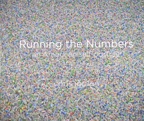 Stock image for Running the Numbers: An American Self-Portrait for sale by SecondSale
