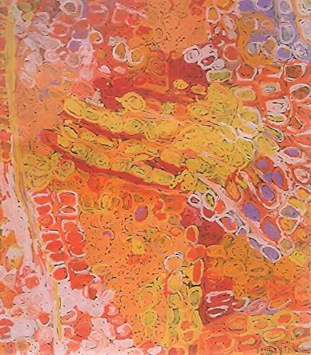Stock image for Luminous: Contemporary Art From The Australian Desert for sale by THE CROSS Art + Books