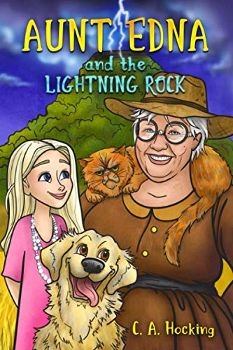 Imagen de archivo de AUNT EDNA and The Lightning Rock (THE AUNT EDNA STORIES) a la venta por Books Unplugged