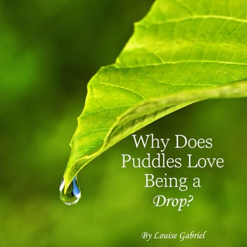 Stock image for Why Does Puddles Love Being a Drop? for sale by Revaluation Books