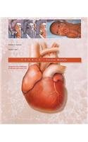 Stock image for S.T.A.B.L.E. Cardiac Module: Recognition and Stabilization of Neonates with Severe CHD for sale by HPB-Red