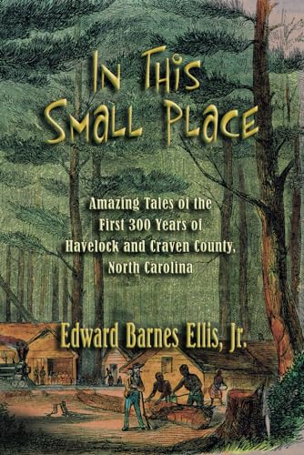 Stock image for In This Small Place: Amazing Tales of the First 300 Years of Havelock and Craven County, North Carolina for sale by ThriftBooks-Atlanta