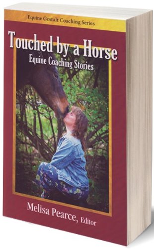 Stock image for Touched by a Horse Equine Coaching Stories Volume 1 for sale by ThriftBooks-Dallas