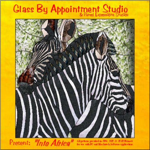 9780976175551: Glass By Appointment Studio - "Into Africa"