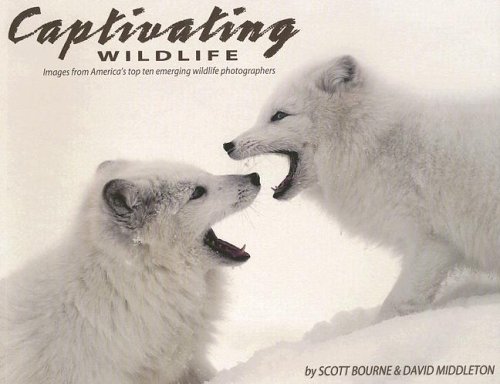 Imagen de archivo de Captivating Wildlife : Images from America's Top Ten Emerging Wildlife Photographers a la venta por Better World Books: West