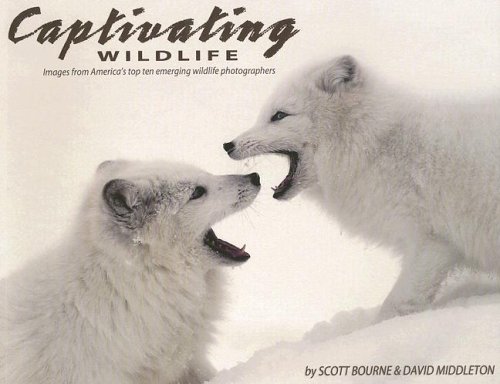 Captivating Wildlife (9780976187837) by Scott Bourne; David Middleton