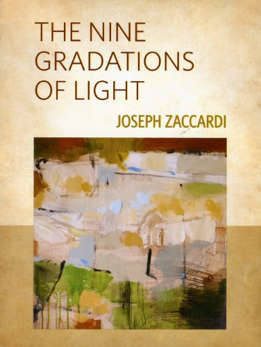 Stock image for The Nine Gradations of Light for sale by Mispah books