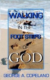 9780976369899: Walking in the Footsteps of God