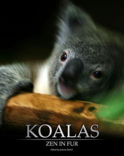 Imagen de archivo de Koalas: Zen In Fur a la venta por THE SAINT BOOKSTORE