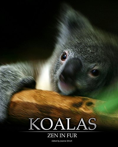 Beispielbild fr Koalas: Zen In Fur, BW Edition zum Verkauf von Lucky's Textbooks
