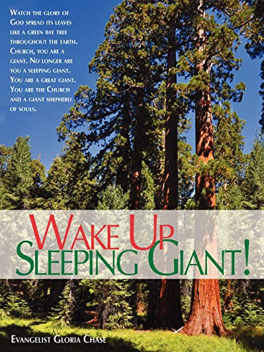 9780976494515: Wake Up Sleeping Giant