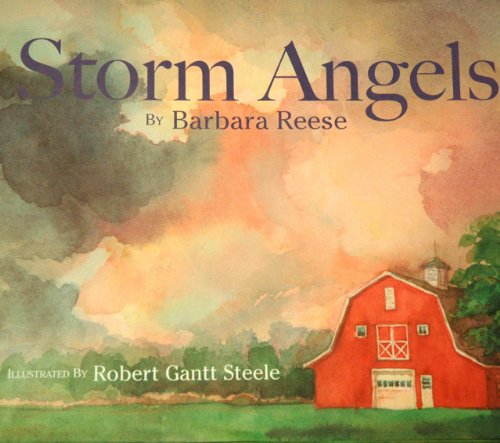 Beispielbild fr Storm Angels zum Verkauf von ThriftBooks-Dallas