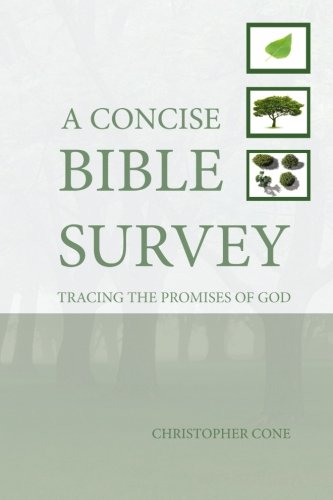 Stock image for A Concise Bible Survey: Tracing the Promises of God for sale by GF Books, Inc.