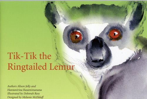 Imagen de archivo de Tik-tik the Ringtailed Lemur (The Ako Series, Madagascar Lemur Adventures) (The Ako Series, Madagascar Lemur Adventures) a la venta por SecondSale