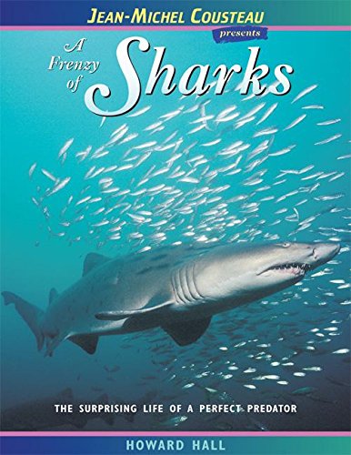 Stock image for A Frenzy of Sharks : The Surprising Life of a Perfect Predator for sale by Better World Books