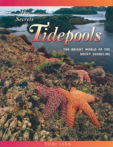 Beispielbild fr The Secrets of Tidepools : The Bright World of the Rocky Shoreline zum Verkauf von Better World Books