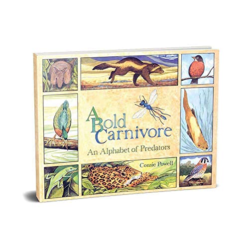 Stock image for A Bold Carnivore: An Alphabet of Predators for sale by Jenson Books Inc