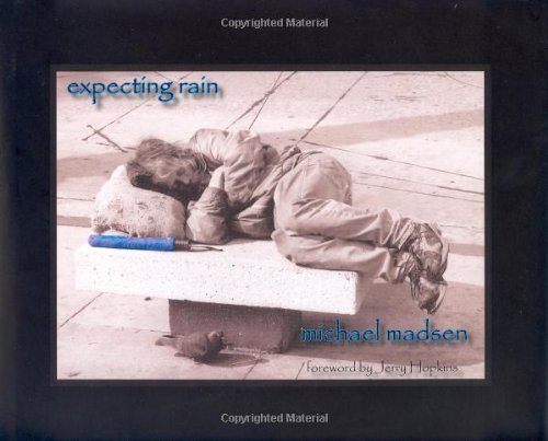 Imagen de archivo de Expecting Rain a la venta por Goodbookscafe