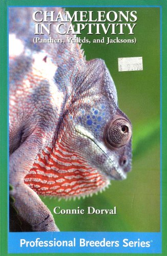 Stock image for Chameleons in Captivity (Professional Breeders Series) for sale by Wonder Book