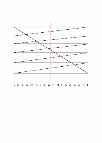 Insomnia and the Aunt (9780976736479) by Lin, Tan