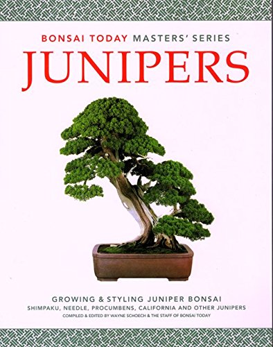 Stock image for Junipers: Growing & Styling Juniper Bonsai (Bonsai Today Masters Series) for sale by AwesomeBooks