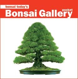 Stock image for Bonsai Today's Pocket Bonsai Gallery for sale by HPB-Ruby