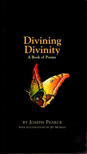 Stock image for Divining Divinity for sale by Half Price Books Inc.