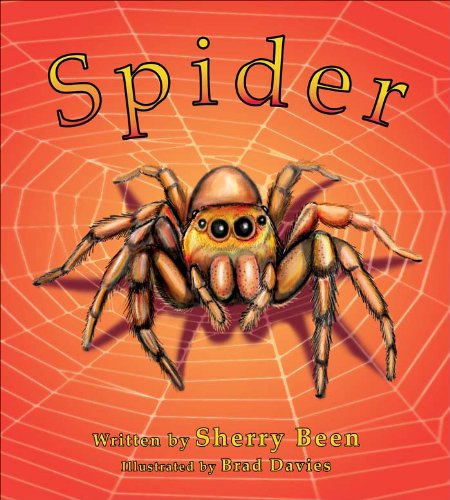 9780976865551: Spider: Get Wild! for Little People