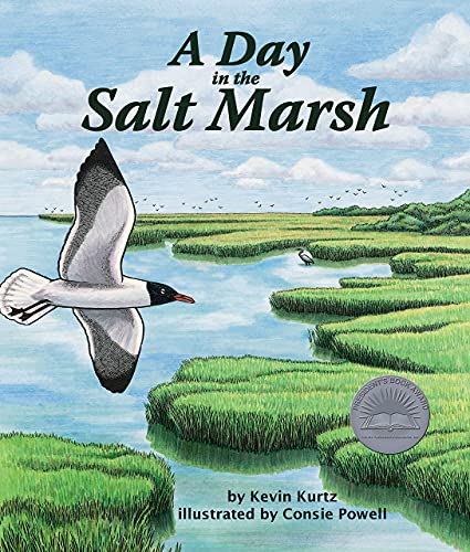 Stock image for A Day in the Salt Marsh (Arbordale Collection) for sale by DENNIS GALLEMORE