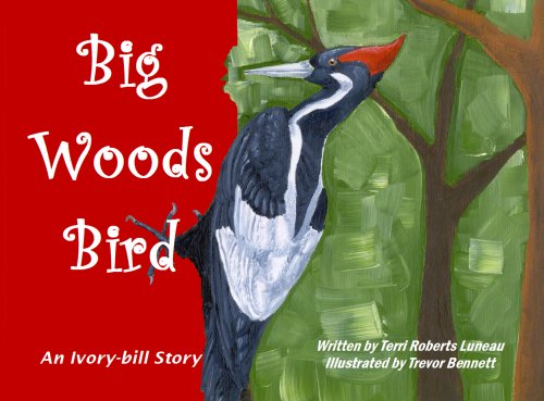 Beispielbild fr Big Woods Bird: An Ivory-Bill Story zum Verkauf von ThriftBooks-Dallas