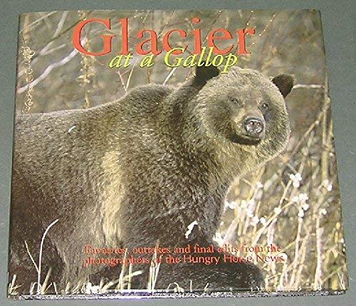 Stock image for Glacier At a Gallop - Favorites, Outtakes and Final Edits From the Photographers of the Hungry Horse News for sale by ThriftBooks-Atlanta
