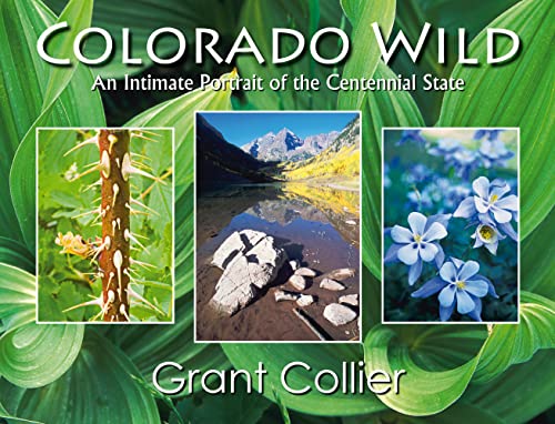 9780976921844: Colorado Wild: An Intimate Portrait of the Centennial State - Close-up and macro photography of wildflowers, lakes, rivers, aspen trees & leaves, fall ... ghost buildings and towns, refelctions