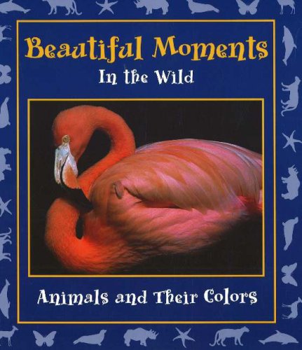 Stock image for Beautiful Moments in the Wild: Animals and Their Colors (Moments in the Wild series) for sale by HPB Inc.