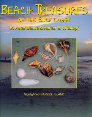 Stock image for Beach Treasures of the Gulf Coast for sale by HPB-Ruby