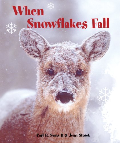Imagen de archivo de When Snowflakes Fall a la venta por Your Online Bookstore