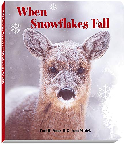 9780977010899: When Snowflakes Fall