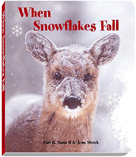 Stock image for When Snowflakes Fall for sale by Gulf Coast Books