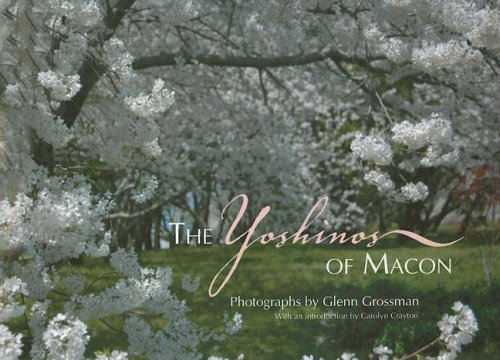 Stock image for The Yoshinos of Macon for sale by HPB-Ruby